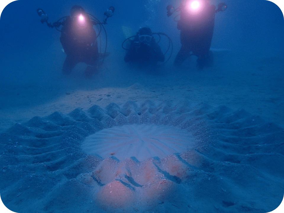 奄美大島のミステリーサークルです。