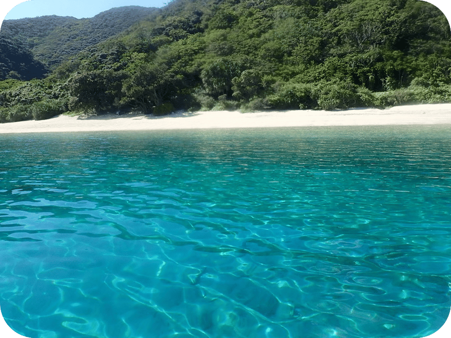 ボートで行く、こーとり浜です。