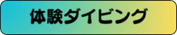 体験ダイビングへのボタンです。